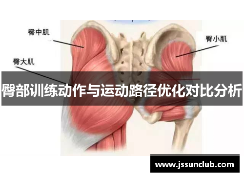 臀部训练动作与运动路径优化对比分析